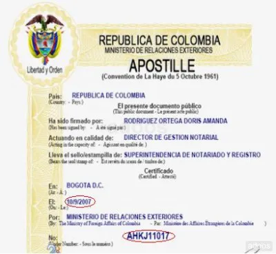 Convalidar títulos en Argentina