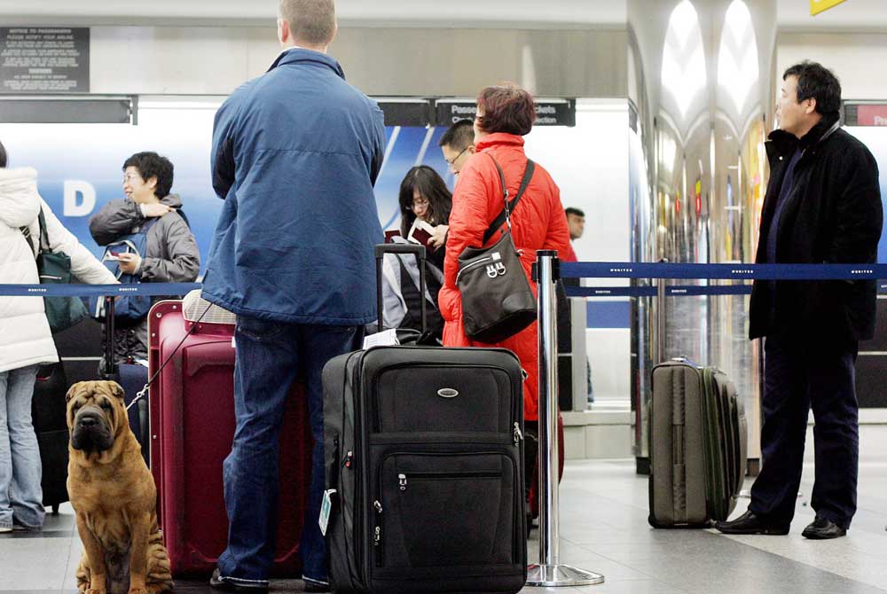 image recargos vuelos equipaje viajar argentina