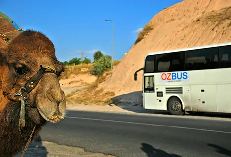 Viajar por tierra desde Colombia a Argentina