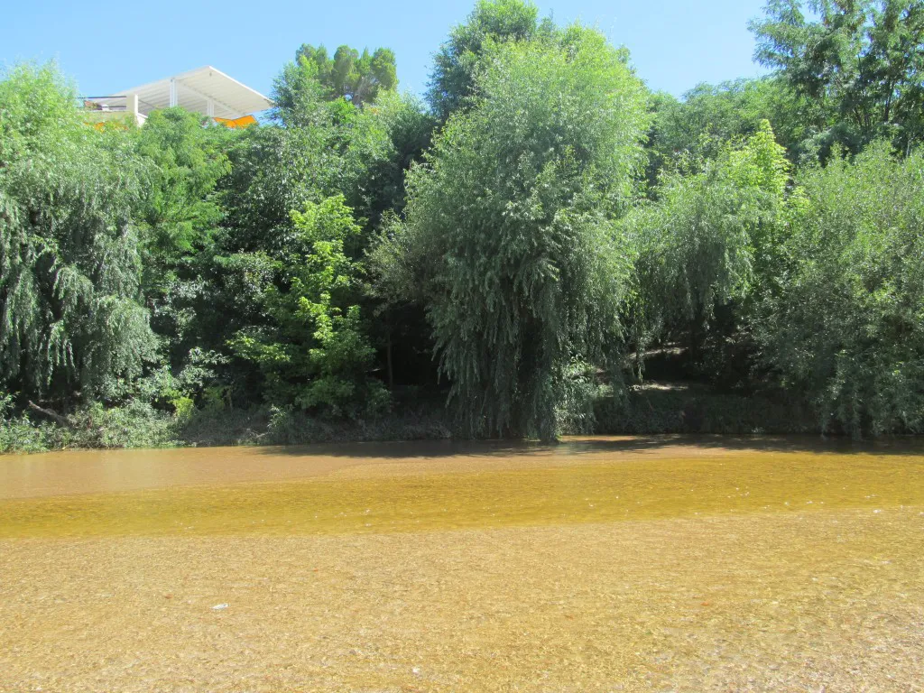 Río Los Sauces