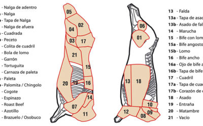 Cortes de Carne en Argentina