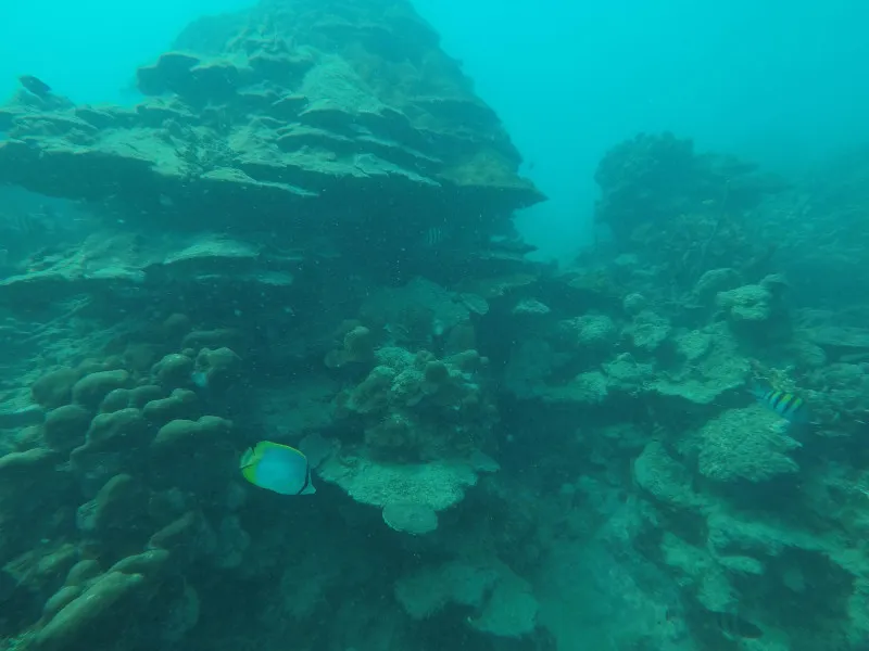 Buceo en las islas del rosario